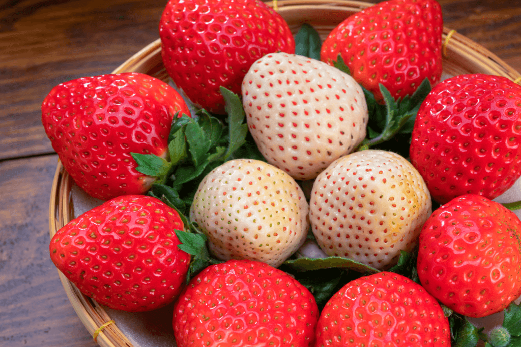 A plate of red and white strawberries.