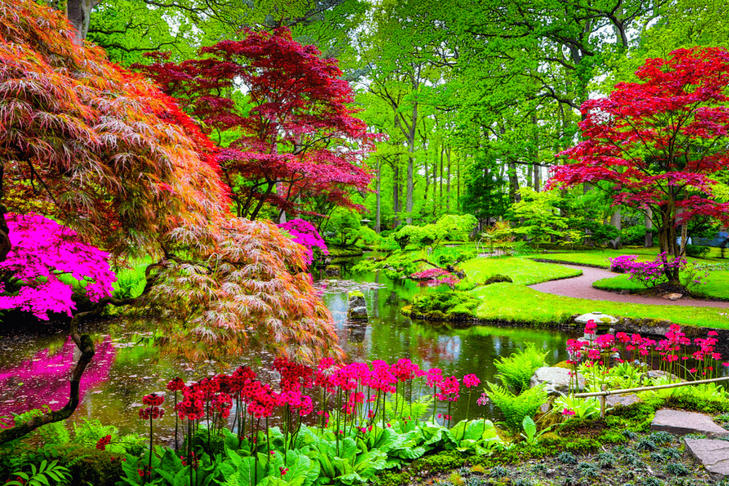A colorful Zen garden in the spring time.