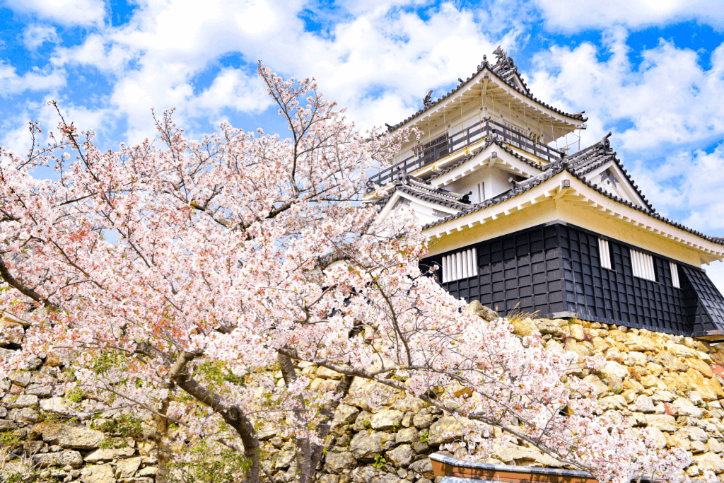 Black and yellow Hamamatsu Castle with cherry blossoms in the foreground.