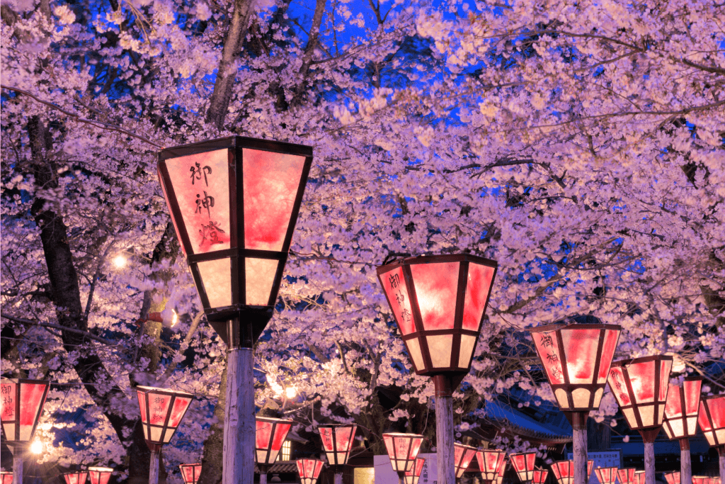 An illumination at Mishima Shrine.