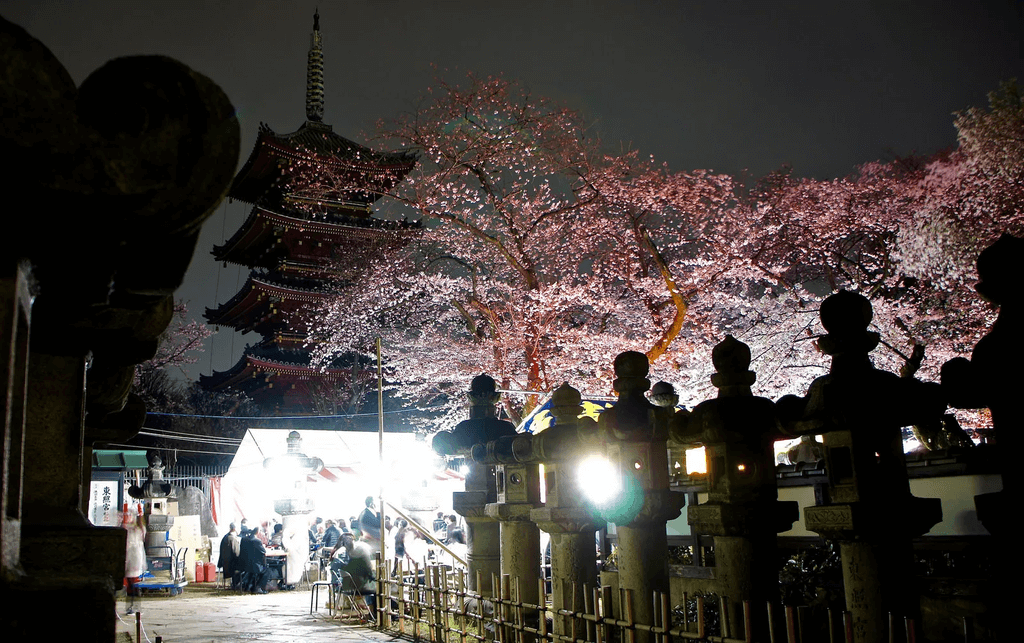 Ueno Park during a yozakura celebration at night.