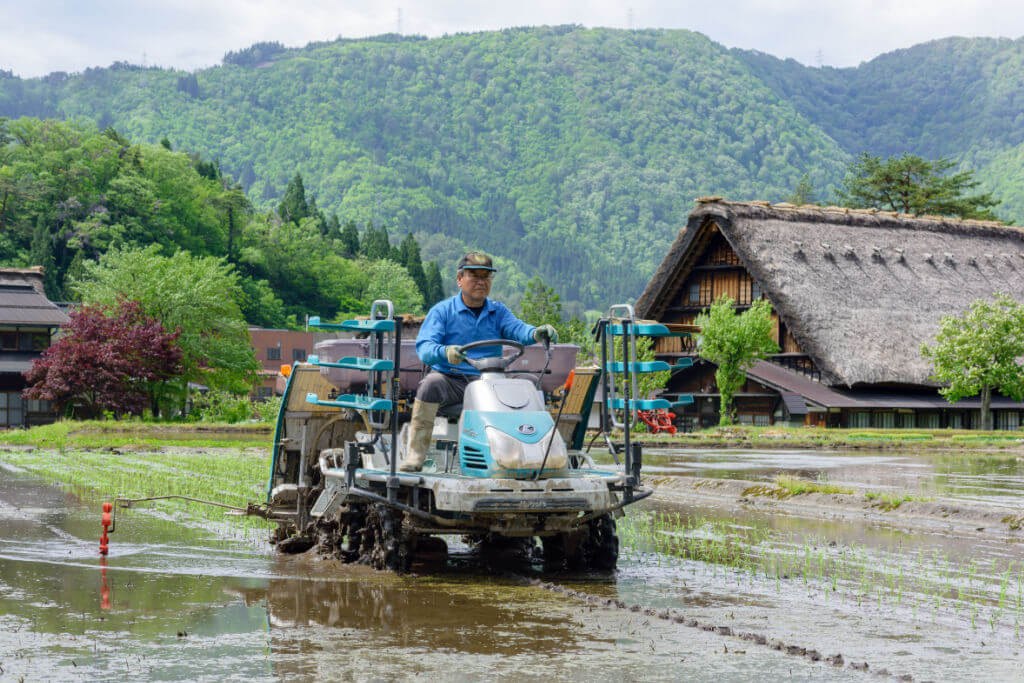 An unidentified japanese farmer transplant paddy sprouts in the field with rice planting machine in Gifu Prefecture, Japan.
