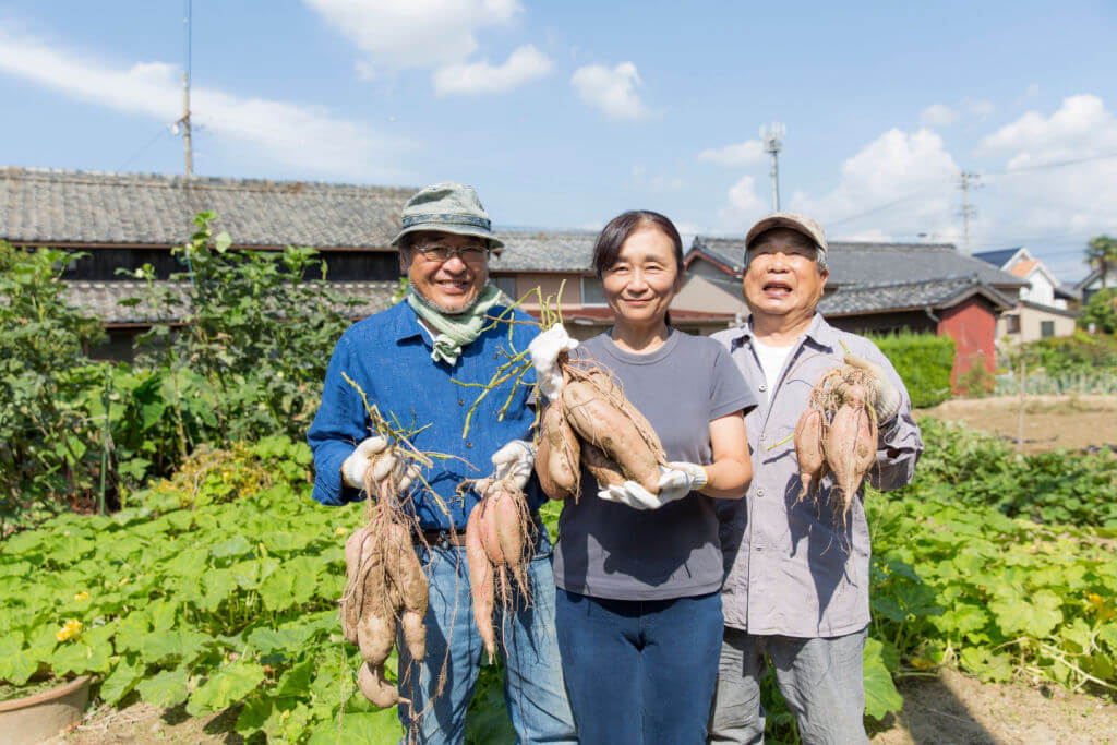 Japanese friends enjoying the harvest of sweet potatoes