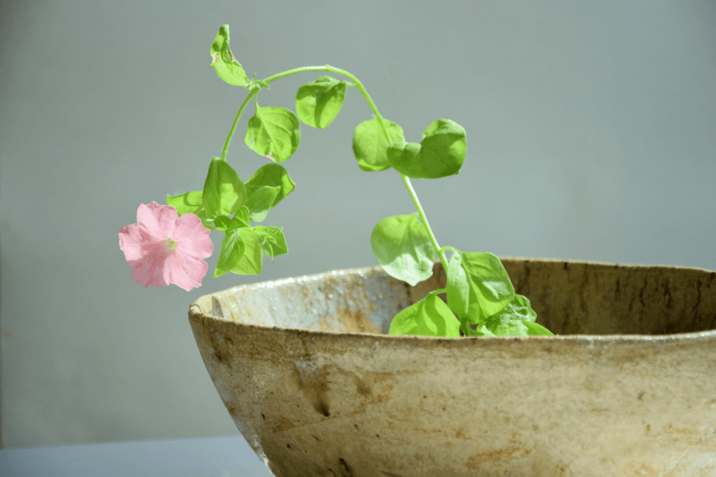 A single pink flower in a Moribana vase.