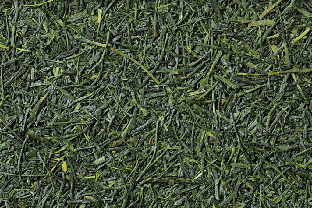 Steamed and pressed shincha.