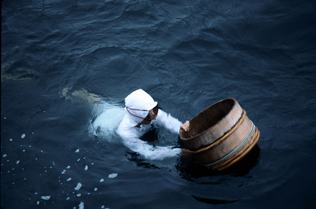 One of the ama pearl divers in a white suit, swimming with a basket.