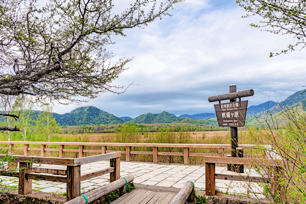 A wooden deck at the Senjogahara Marshlands.