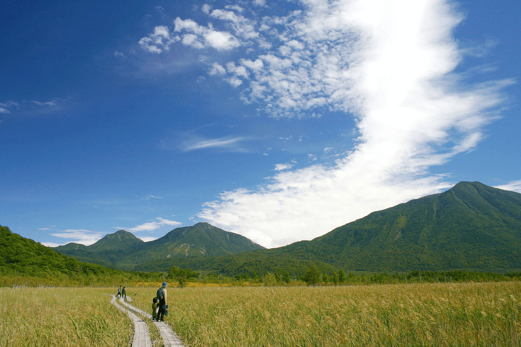 The Senjogahara Marshlands in the summertime.