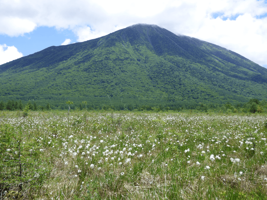 The Senjogahara Marshlands in the spring time.