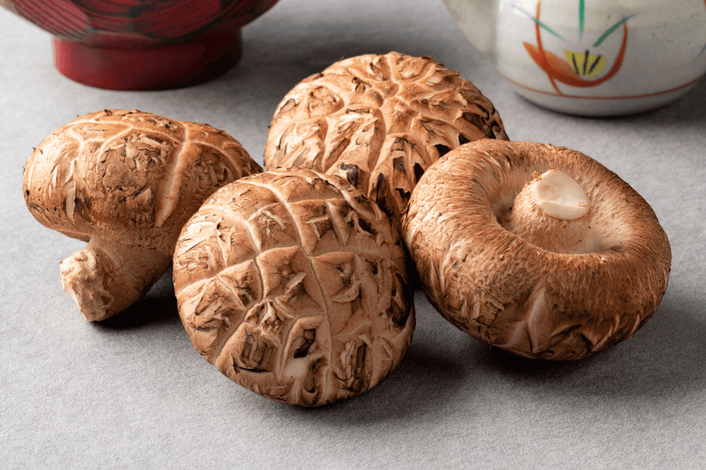 A bunch of round donko edible fungi.