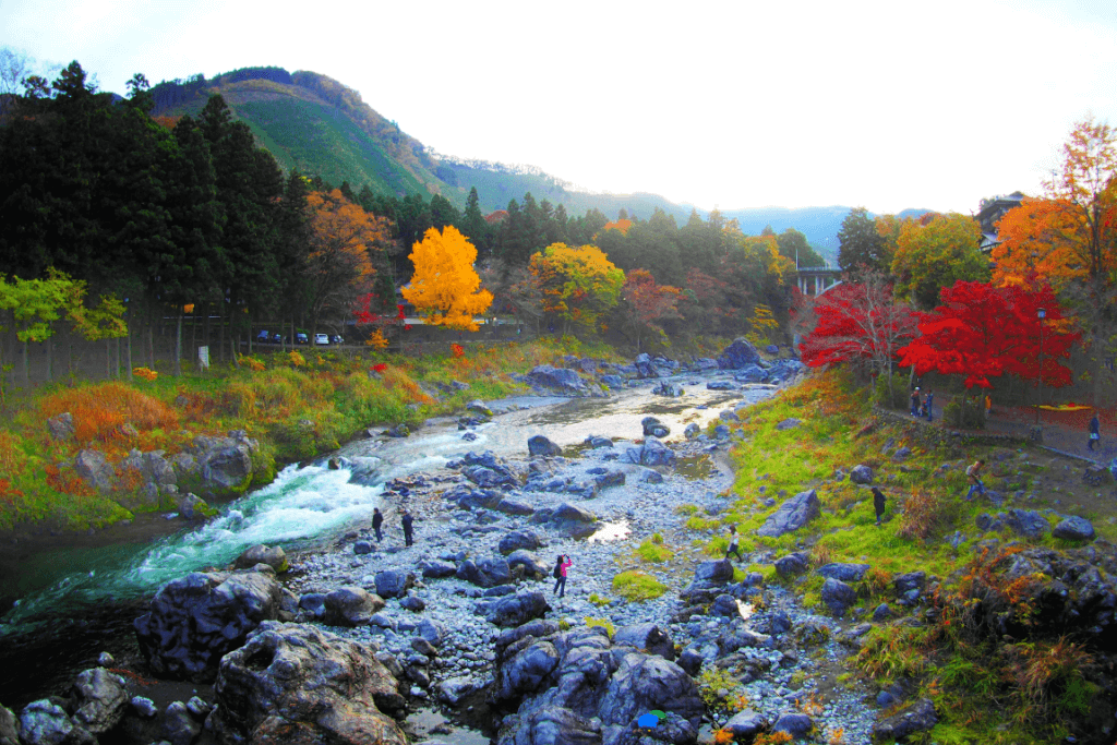 A hiking trail during in autumn near Mount Mitake.