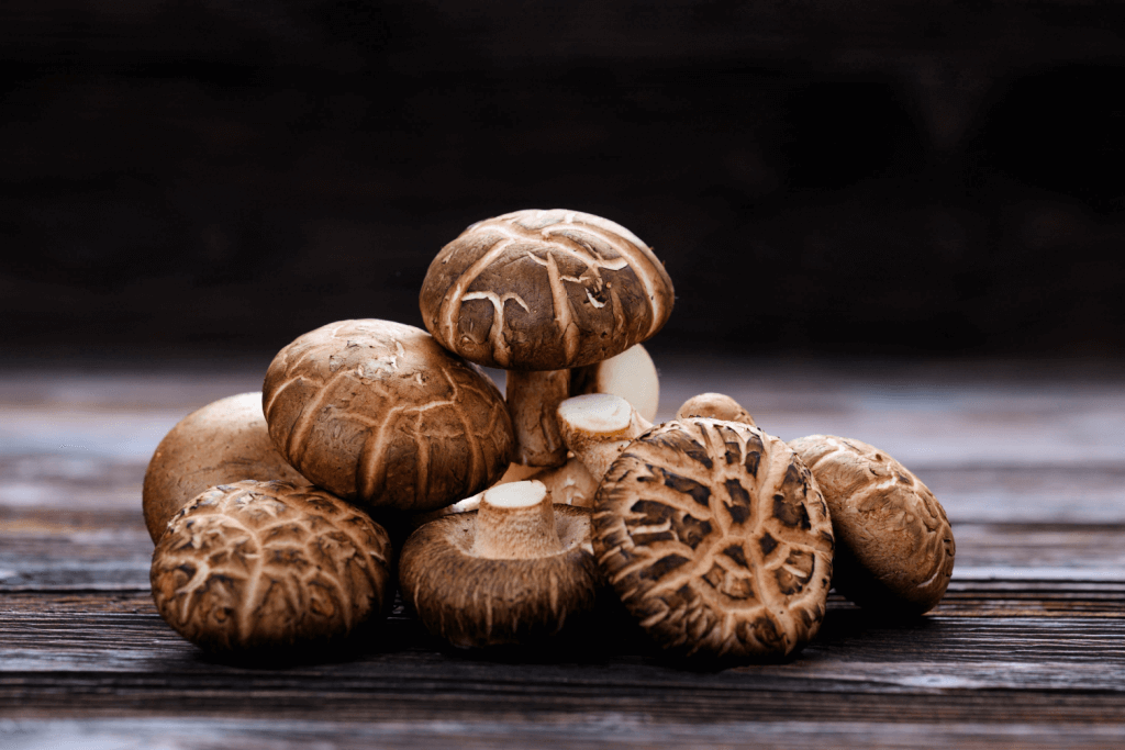A pile of the shiitake mushroom.