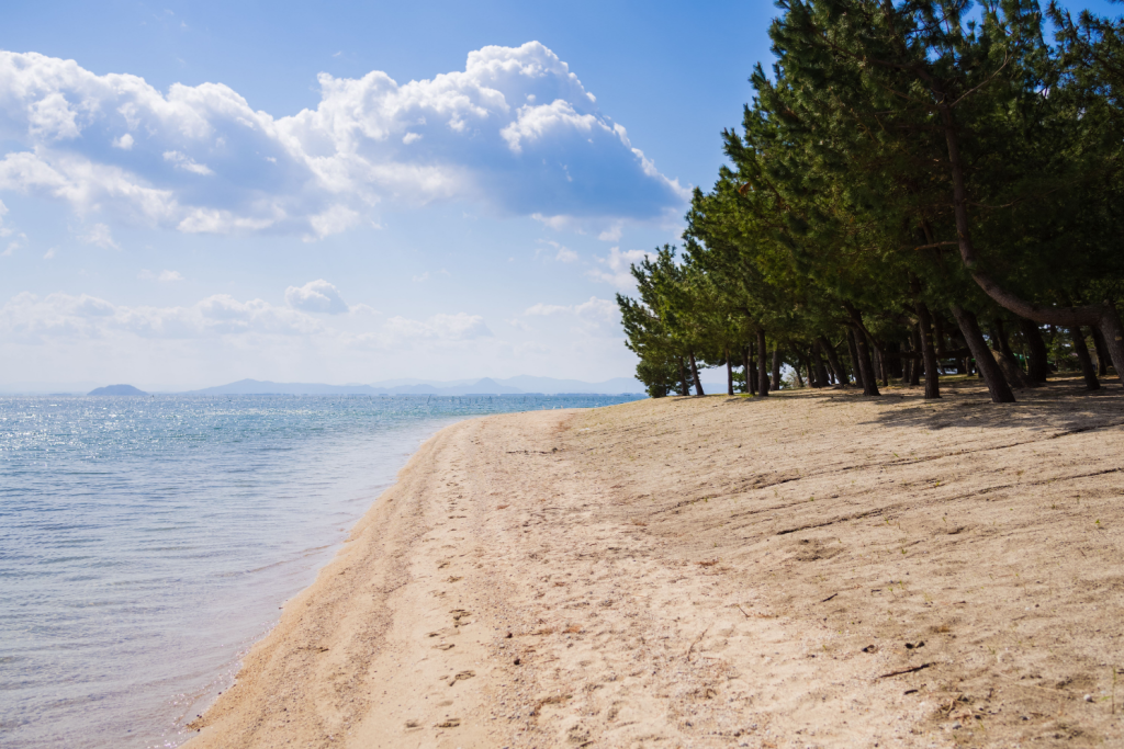 Omi maiko beach in shiga is known for its pine trees at the coast