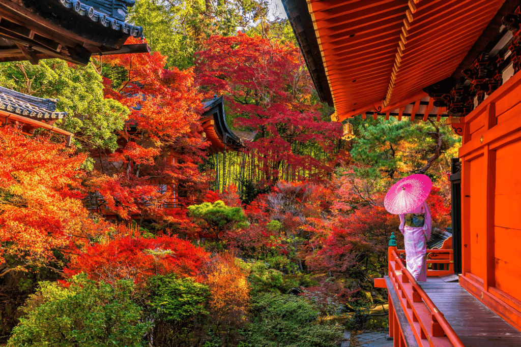 A woman wearing a kimono, standing in a shrine among the red leaves.