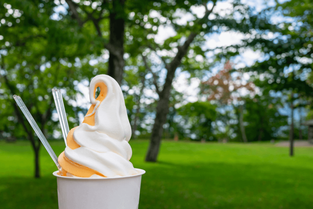 A cup of Hokkaido melon and vanilla soft-serve ice cream.