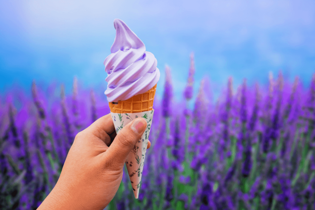 Someone holding lavender soft-serve ice cream (one of many sweet treats) in a lavender field.