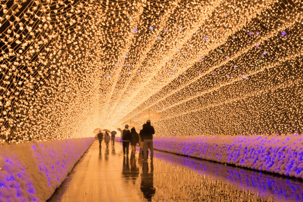 The Nabana no Sato Illuminations in Mie. It's a tunnel of fairy lights.