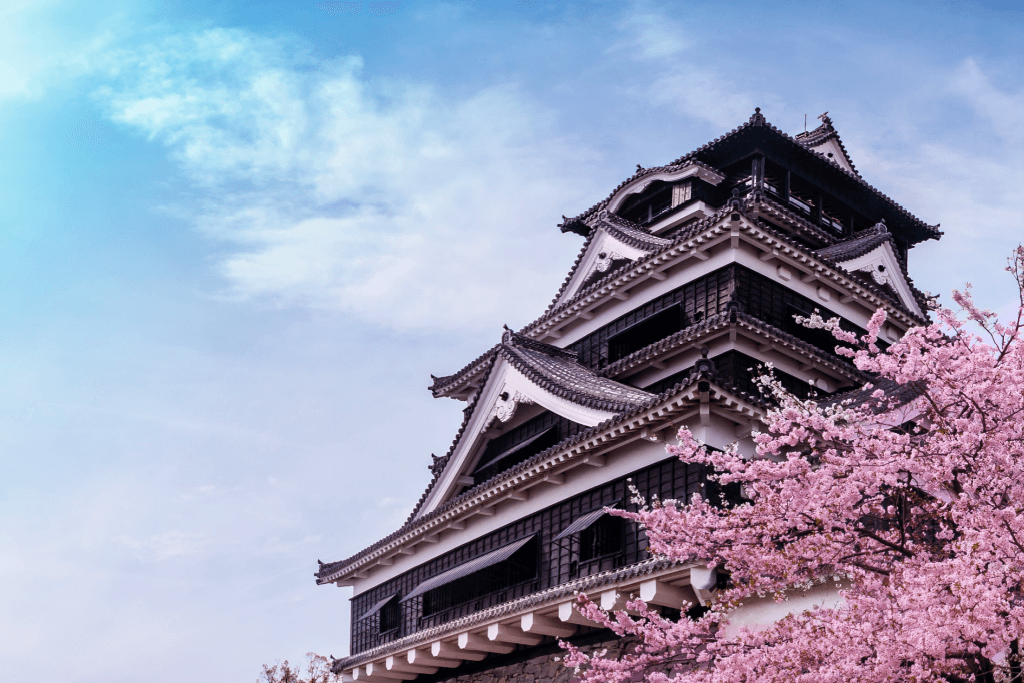 Kumamoto Castle with cherry blossoms in the front.,