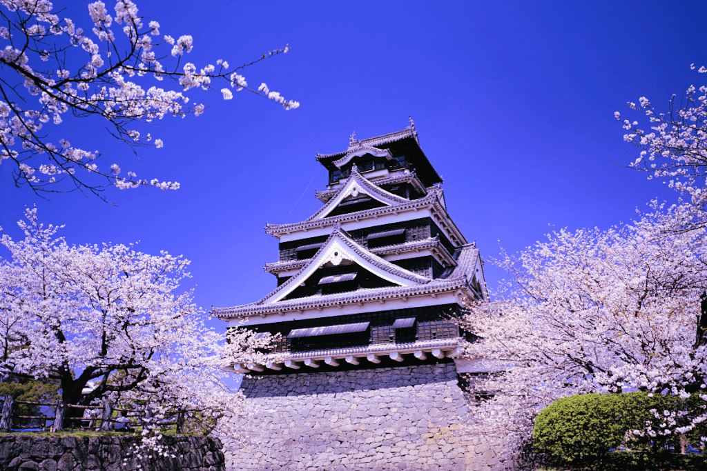 Kumamoto Castle, surrounded by cherry blossoms.