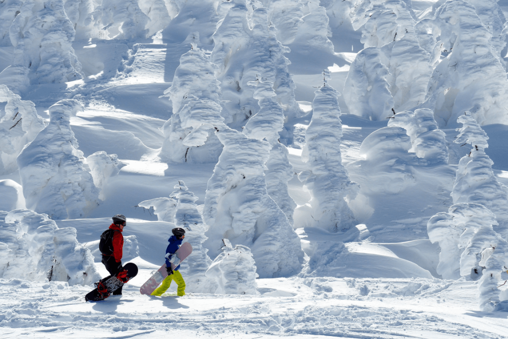 Unusual snow formations at the Zao Snow Monster Festival.