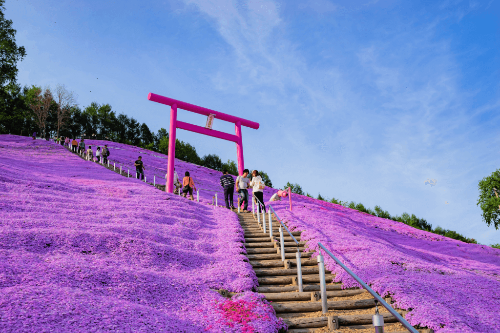 A shrine entrance with purple spring flowers in Hokkaido.