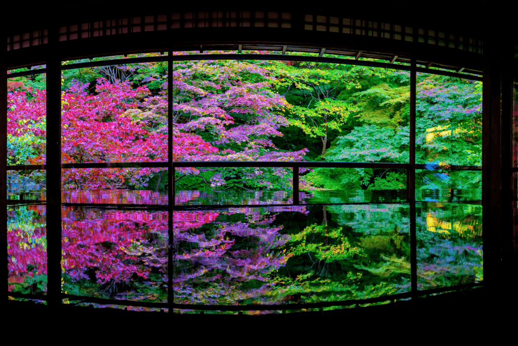 A window looking at Japan in colorful nature.