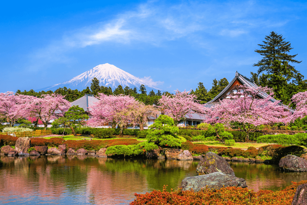 Japan in the spring time.