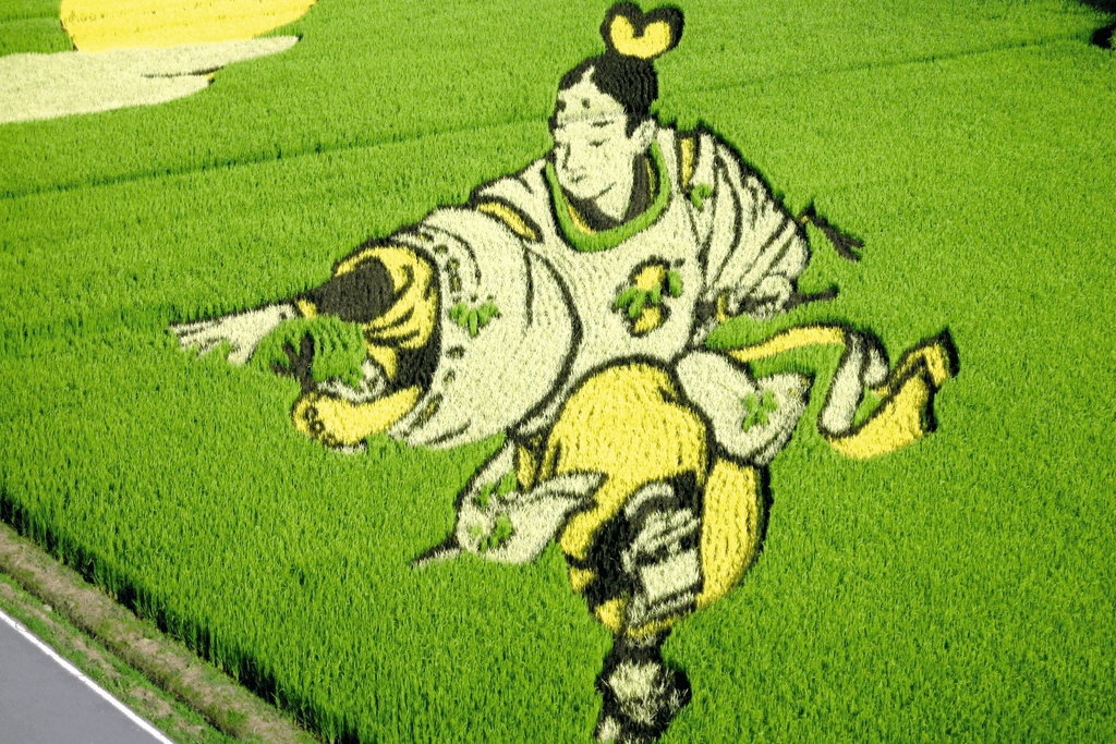 A man in a kimono depicted in rice paddy art.