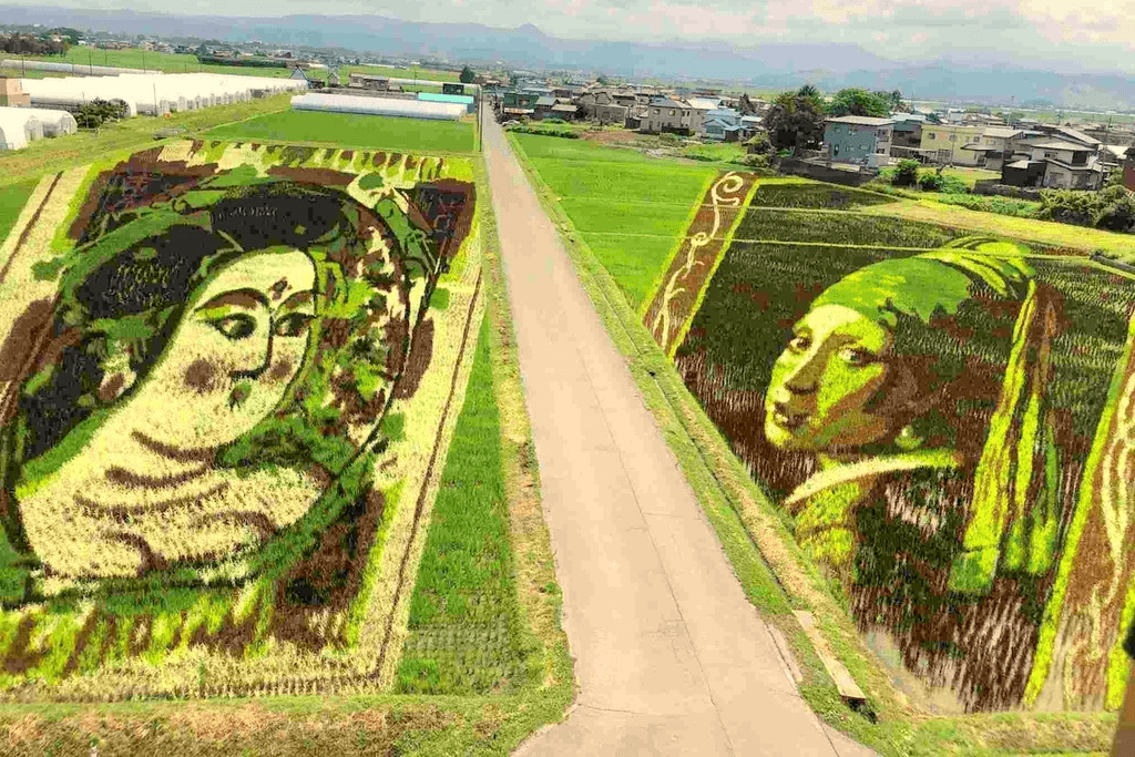 Two pieces of art in a rice field.