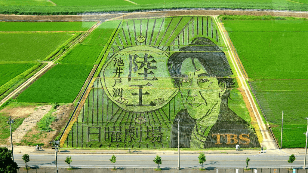 An image in a field of rice that commemorates the Tokyo Broadcasting System.