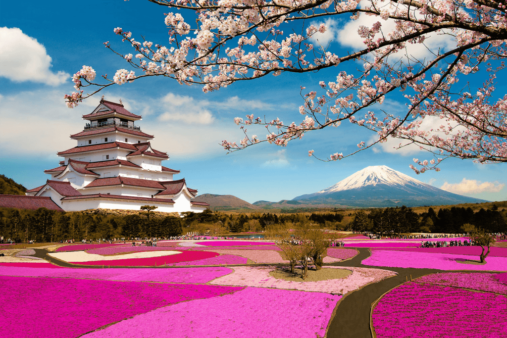 A flower field full of spring colora.