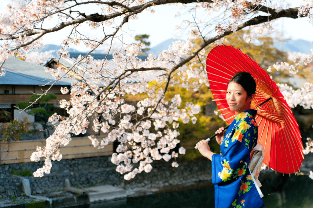 A woman in a blue kimono, holidng a red parasol, next to a tree of pink cherry blossoms. They are popular Japanese colors.