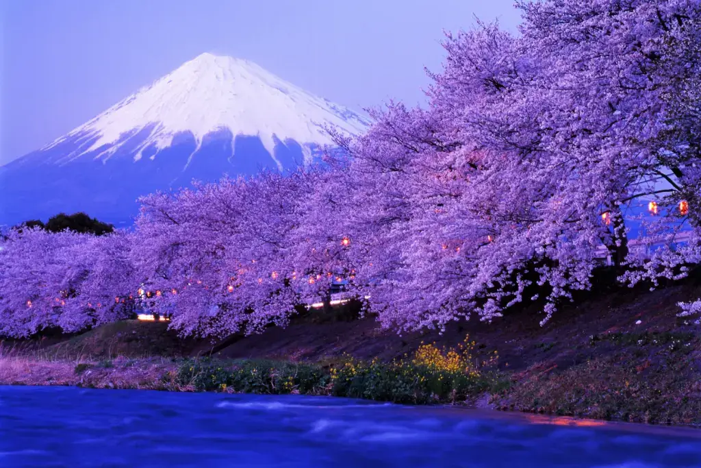 Mt Fuji, one of the most beautiful places in Japan.