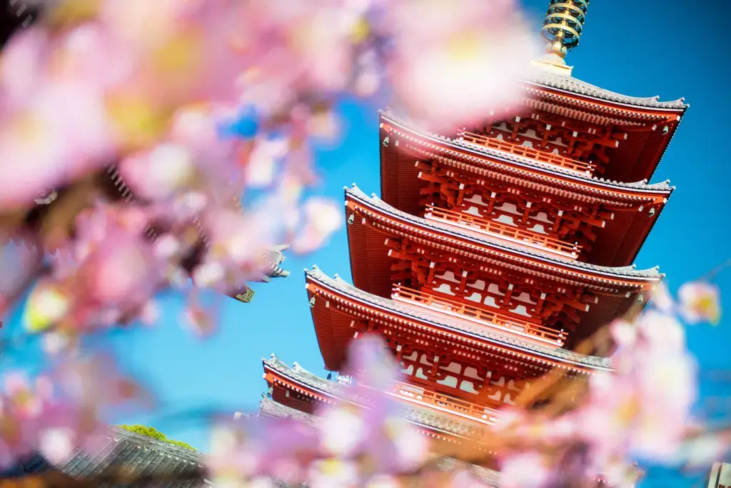 A pagoda among the cherry blossoms.