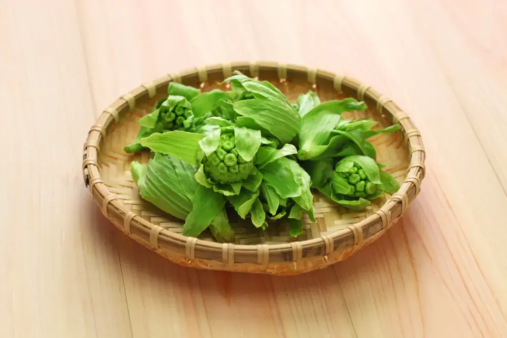 A basket of butterbur plant, or fuki.