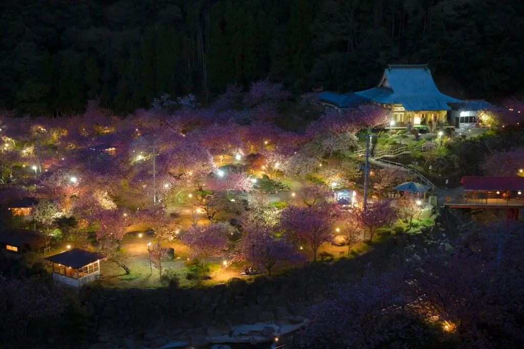 Isshinji Temple in Oita at night.
