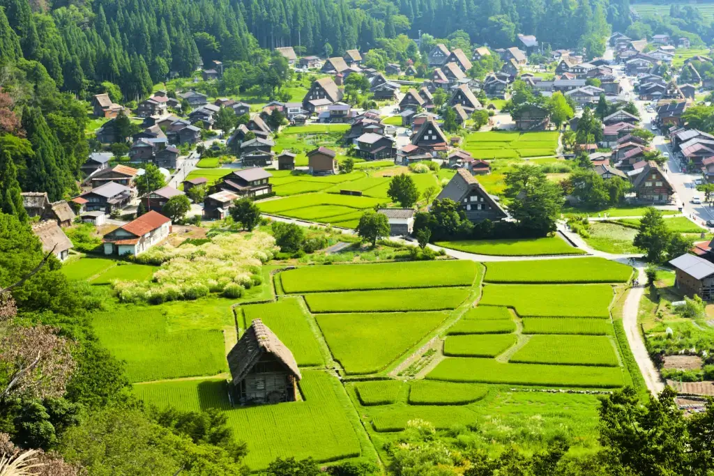 A bird's eye view of a historical village in Gifu Prefecture.