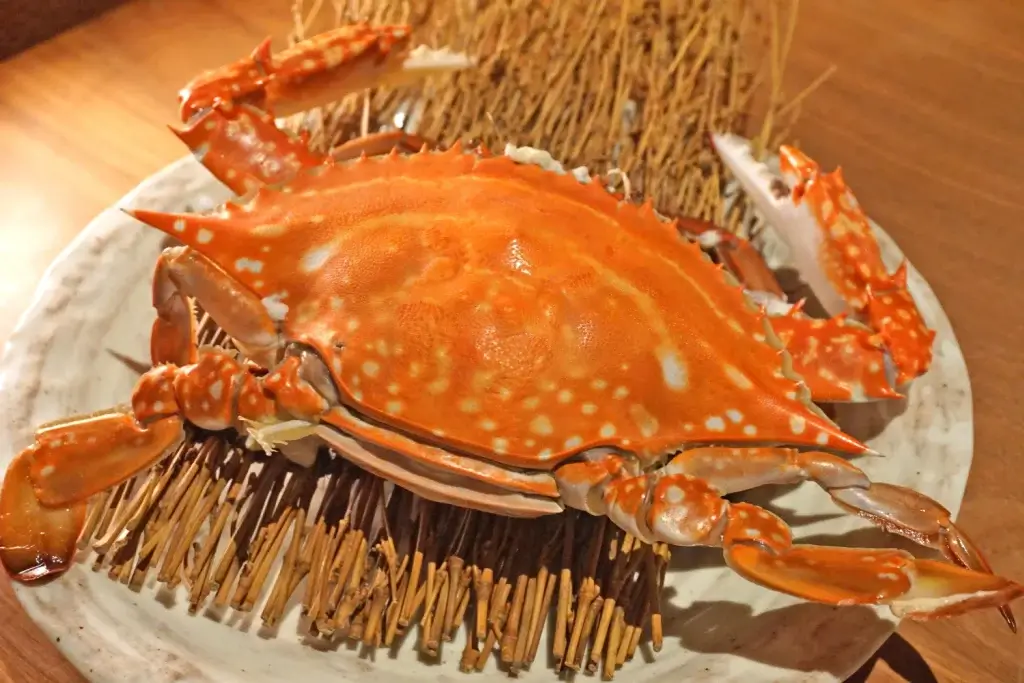 A cooked Takezaki crab.