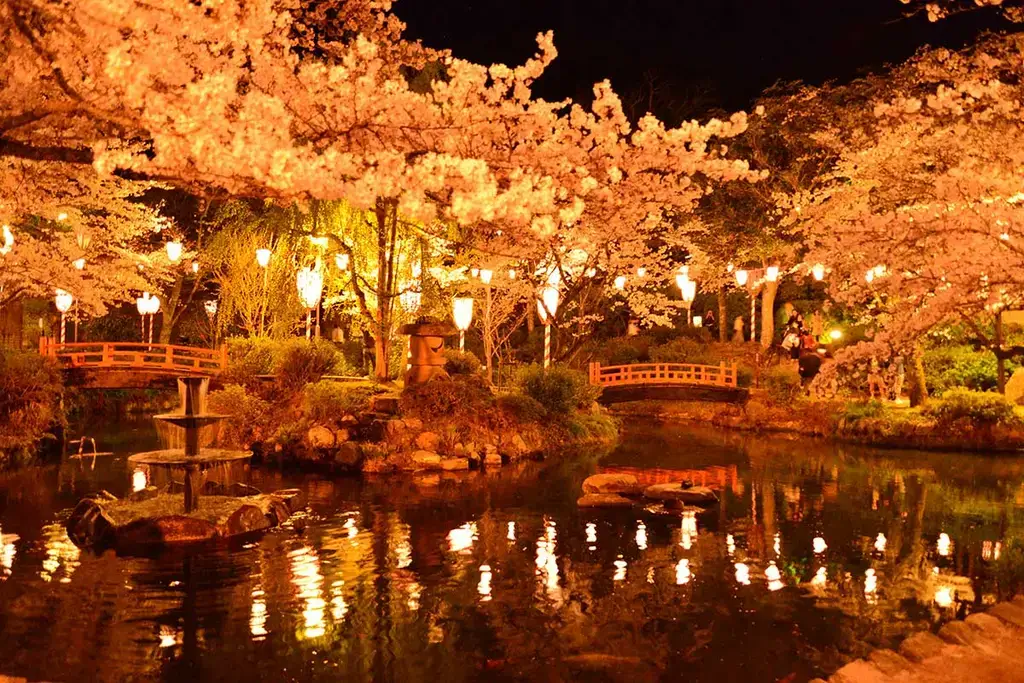A night illumination at Utsubuki Park.