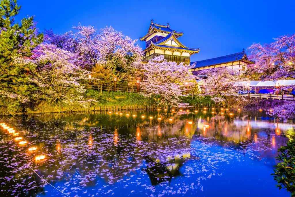 A castle in Japan surrounded by cherry blossoms at night. 