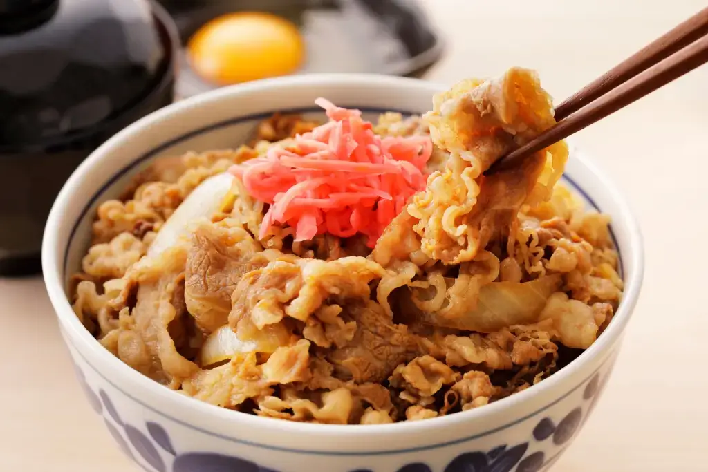 A bowl of gyudon (thinly sliced beef with onions and pickled ginger on top of rice).