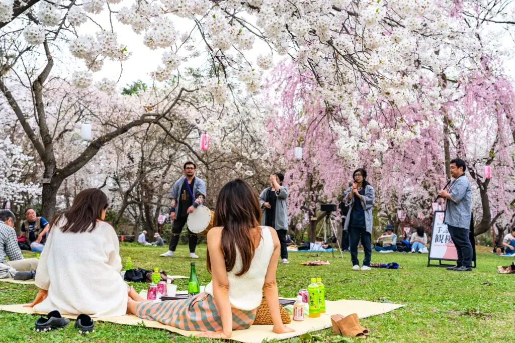 People relaxing at the Hirosaki Cherry Blossoms Festival, a flower festival.