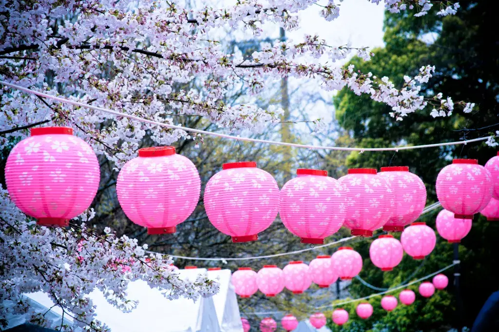 A flower festival during May in Japan.
