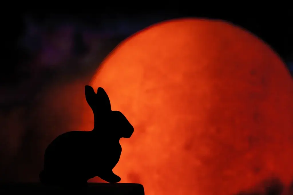 A moon rabbit against a red full moon.
