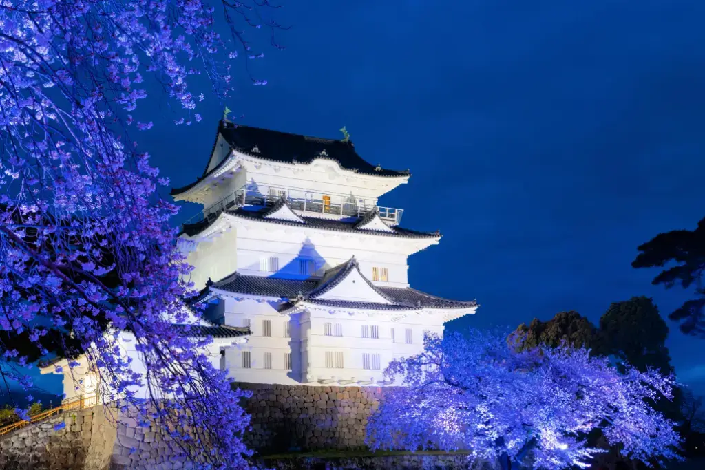 Odawara Castle at night.