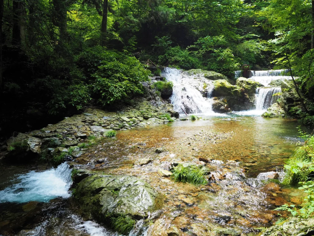 Hossawa Falls in Hinohara Village. It's one of many important waterfalls in Tokyo.