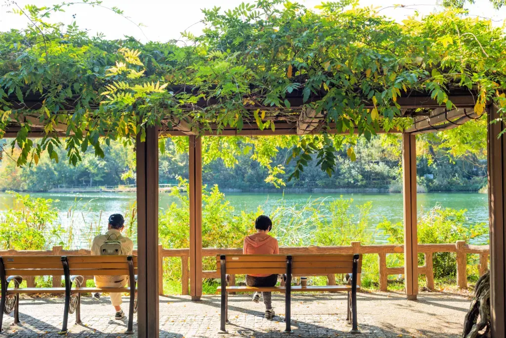 People sitting on a bench in Inokashira Park.