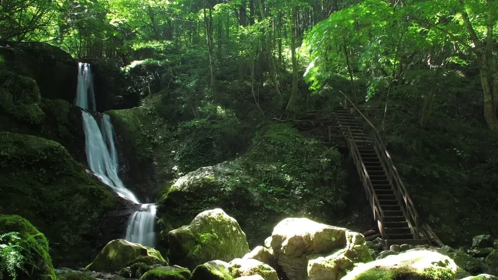 Mitsugama Falls in Okutama. It's one of many amazing waterfalls in the area.