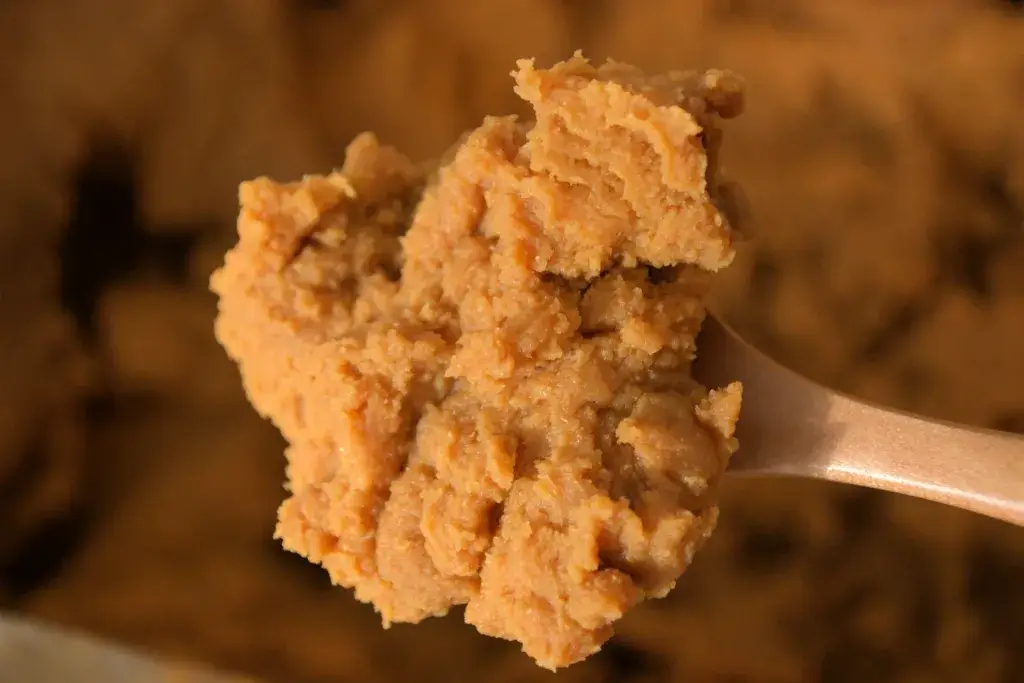 A spoonful of mugi miso paste.