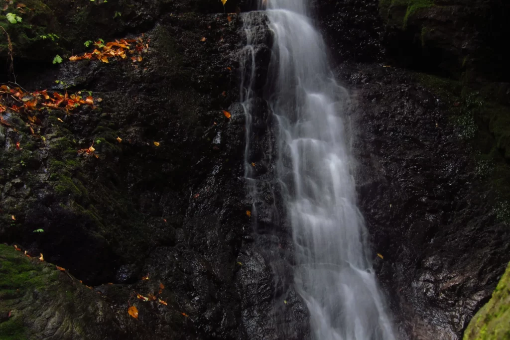 Odake Falls in Hinohara Village. It's one of many enchanting waterfalls. 